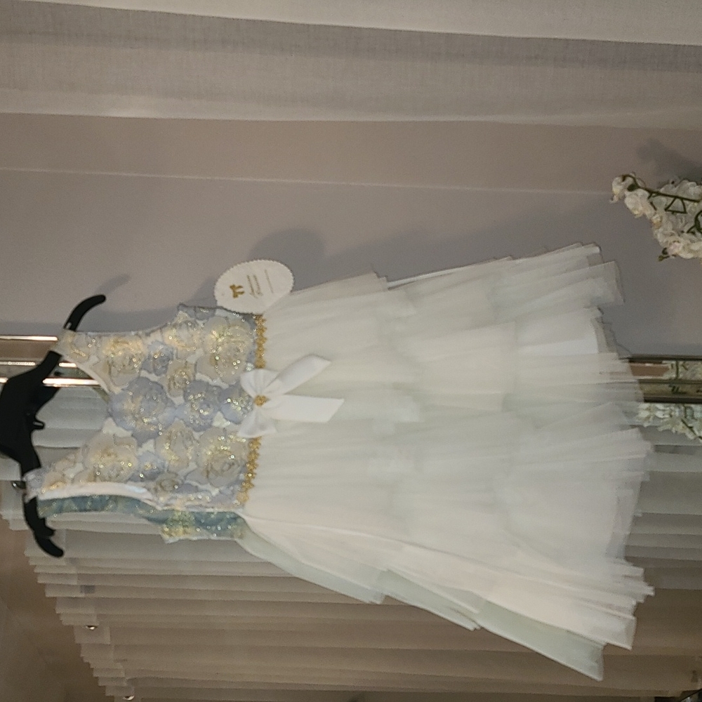 American Princess girls special event dress. Size 10